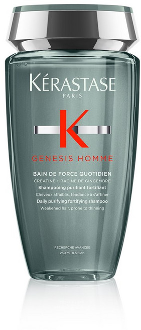 케라스타즈 제네시스 옴므 남성모발 강화 방 드 포스 쿼티디앙 샴푸 250ml, 1개