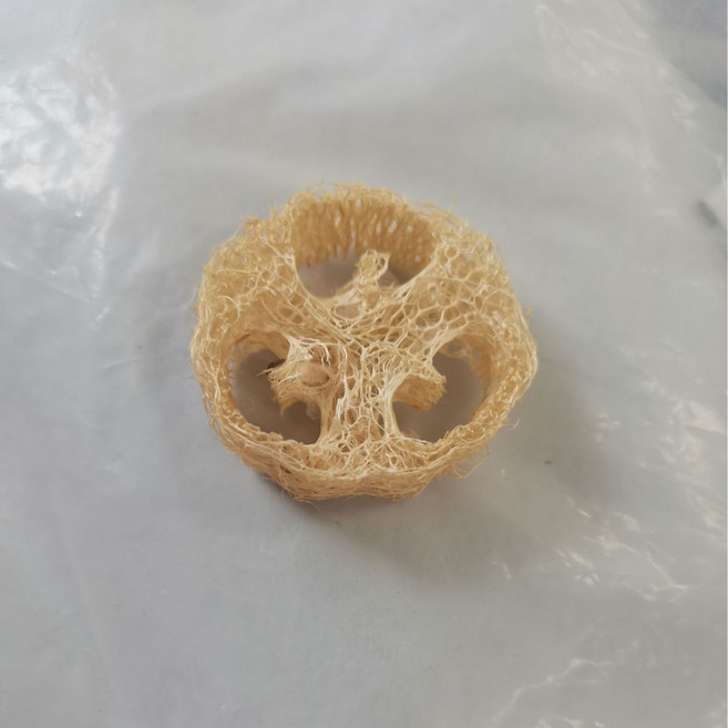 天然絲瓜絡皂託, 原色, 1套