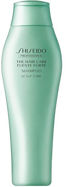 SHISEIDO PROFESSIONAL 資生堂專業美髮 The Hair Care 薇諾馳強健洗髮露 頭皮護理, 1個, 250ml