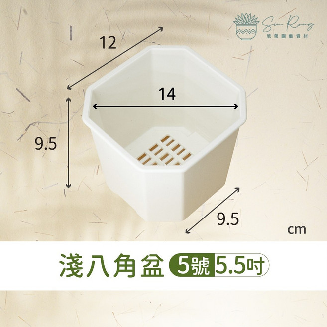 欣榮園藝 百合盆 透氣盆 盆器 花盆 盆栽 塑膠盆 栽培盆 仙人掌 多肉盆, 1個