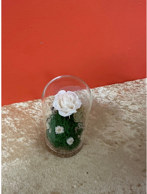 永生玫瑰玻璃罩乾燥花藝術擺飾, 白色