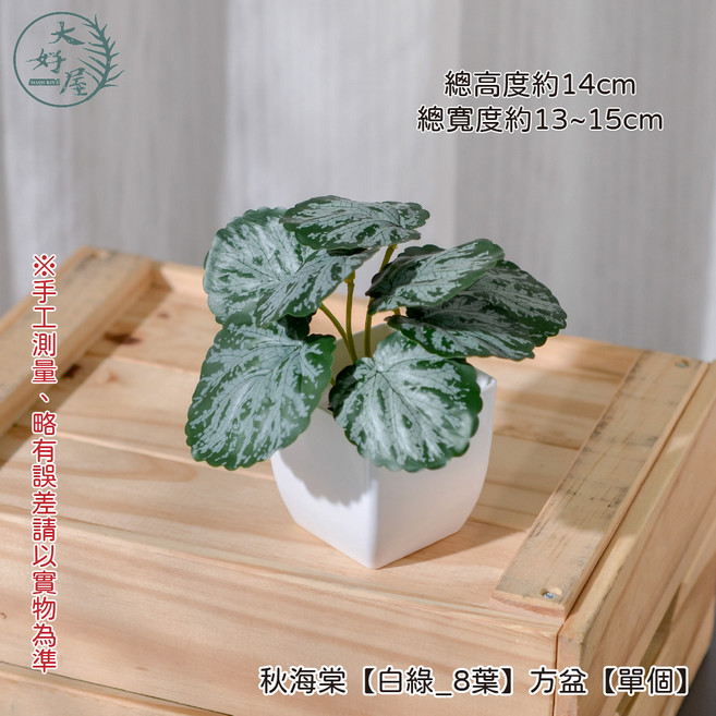 大好屋 仿真迷你盆栽 仿真綠植盆栽 辦公室小物 室內裝飾, 秋海棠, 1個