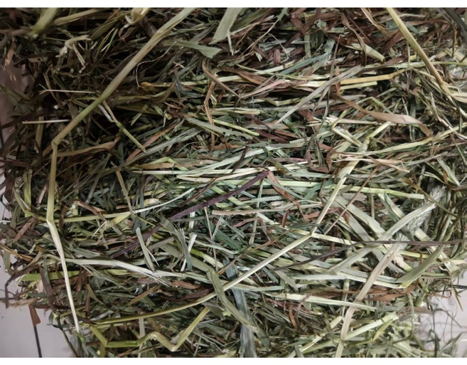 提摩西二割乾草 高纖維好消化 低粉塵無雜質, 1個, 1kg, 1kg