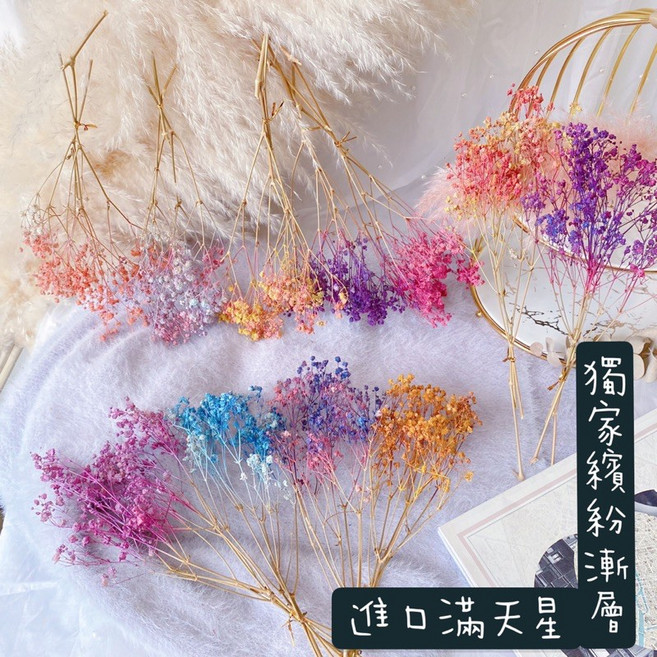 大地農場 乾燥花素材-手染繽紛滿天星 網美花牆材料 花束材料 捧花必備 胸花素材, 漸層雙色款