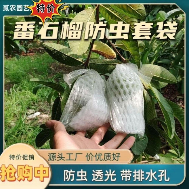 番石榴防蟲網套袋 芭樂套袋 加厚防塵透氣, 1個, 100個網袋一體,加厚款式