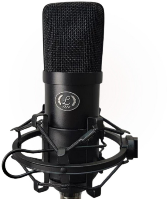 LI SOUND LIVE-600T 專業電容麥克風, 黑色 加購 懸臂支架 白, 白色