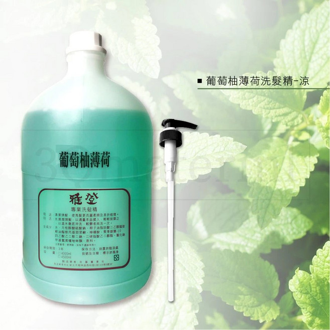 3Q髮品 雅登涼葡萄柚洗髮精家庭號 (贈恐龍夾) 沙龍店專用, 1件, 4.5L