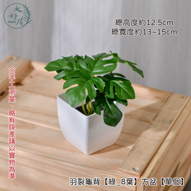 大好屋 仿真迷你盆栽 仿真綠植盆栽 辦公室小物 室內裝飾, 羽裂龜背, 1個
