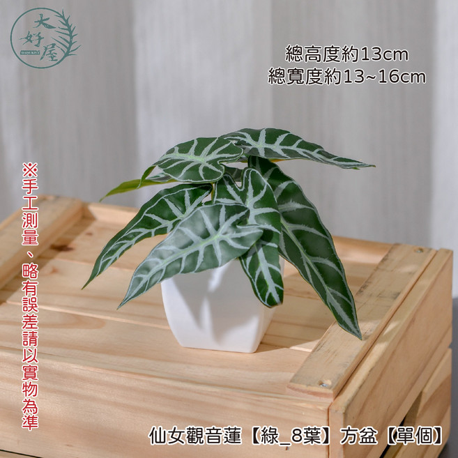 大好屋 仿真迷你盆栽 仿真綠植盆栽 辦公室小物 室內裝飾, 仙女觀音蓮, 1個