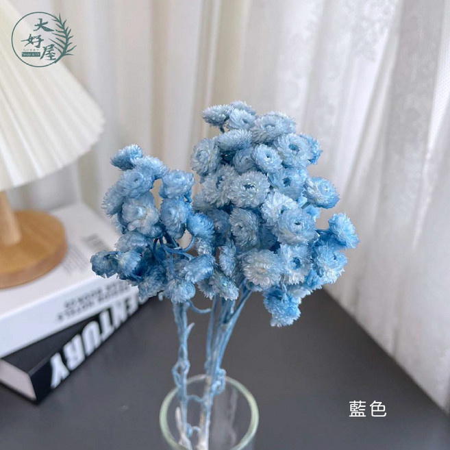 大地農園 蠟菊 3-4克裝 3A級超品 義大利小蠟菊, 小蠟菊【藍色】小包裝, 藍色, N/A
