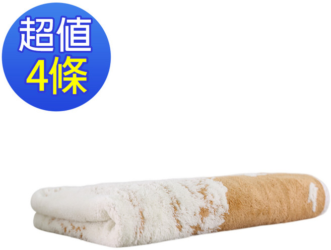 Aqua 日式精緻抗菌除臭舒適巾 SL大尺寸 咖啡色4入組 柔軟親膚吸水速乾, SL咖啡色(4條), 1套
