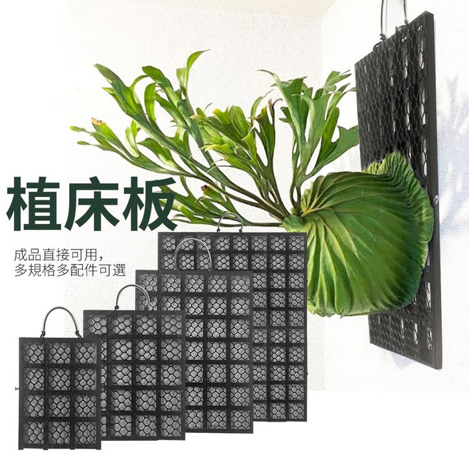 植床板 鹿角蕨板 植物板植物框 蕨類上板神器 塑膠植物板透氣板 適用於水苔種植 附掛鉤帶螺絲 蕨類石斛蘭花均可, 黑色, 1件