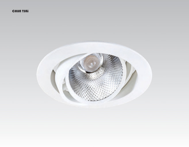 CHUN TSAI 崁燈 11.5cm 可調角度 LED 照明, 1個, 白色-14w,2700K
