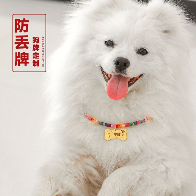 寵物刻字防丟身份牌項圈, 1個, 金色骨頭,M中型, 金色, 骨頭