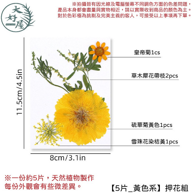 大好屋 DIY 水晶滴膠 卡片乾燥花 吊飾 書籤 乾花 手作, 【5片_黃色系】押花組