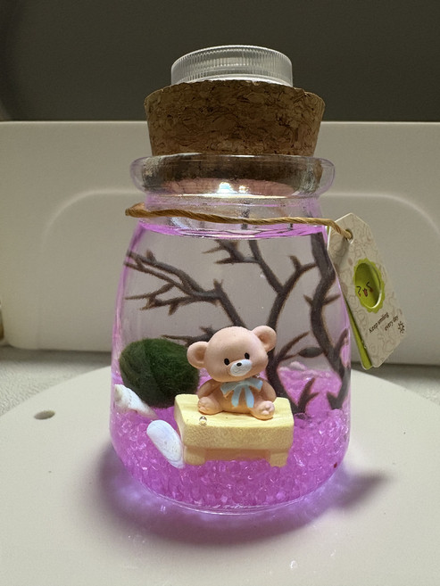 DIY 療癒 Marimo 藻球生態瓶 迷你景觀, 5個