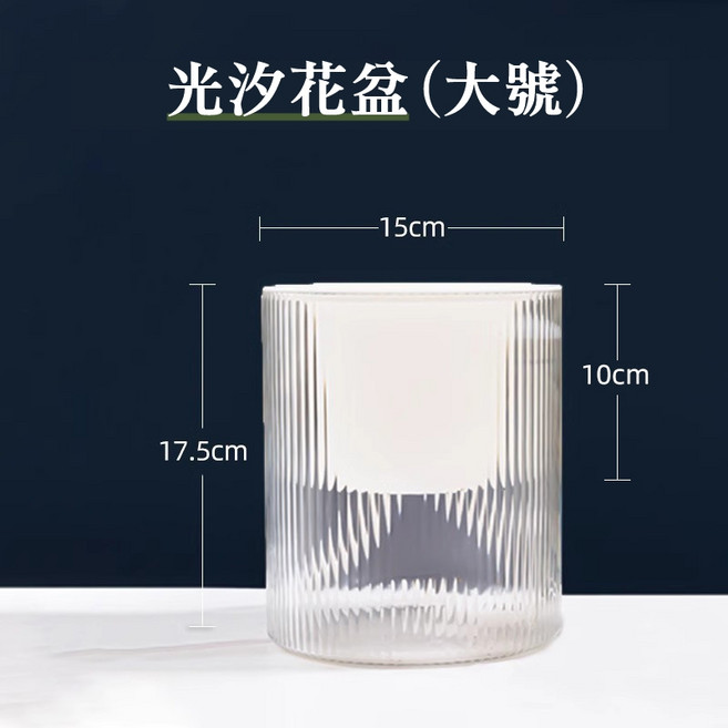 光汐透光 透明 自動吸水 懶人花盆 園藝盆栽容器, 1個, 大號