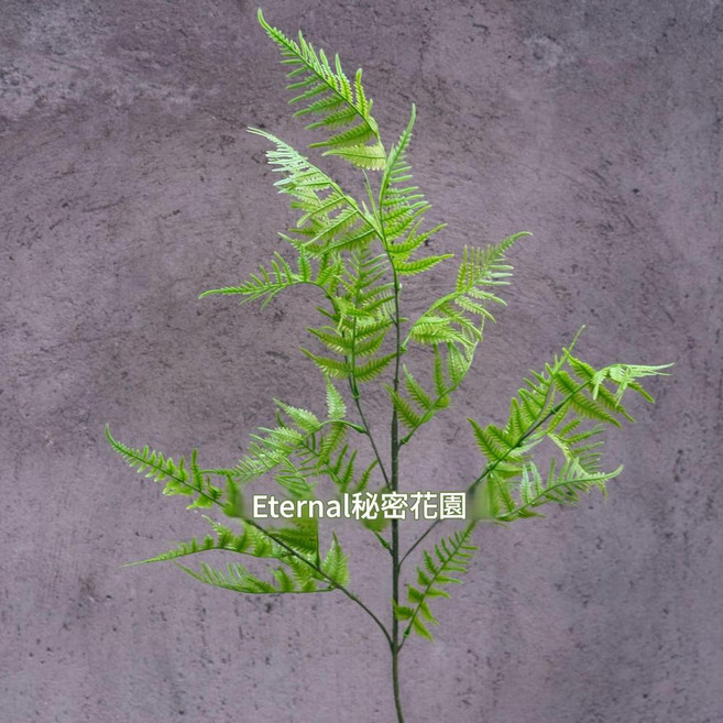 模擬綠植蘆荀草婚慶裝飾, 波斯蕨, 1個