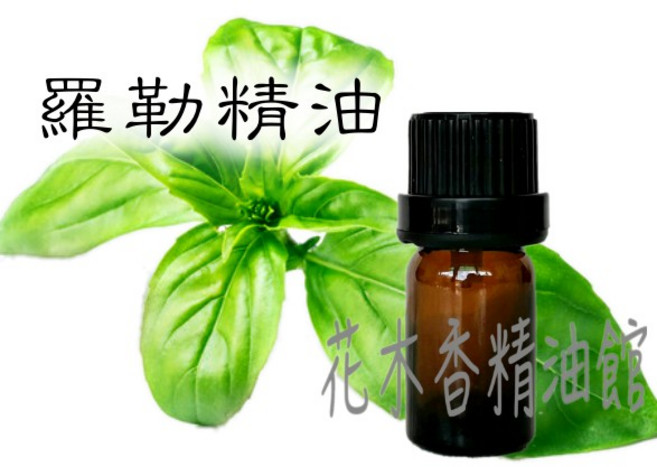 羅勒精油 10ml、30ml、50ml、100ml, 1個, 100ml