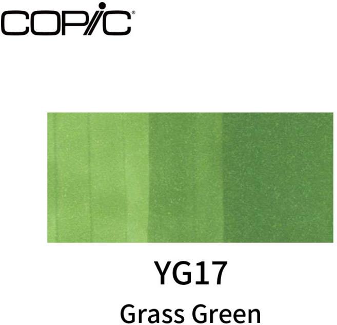 COPIC 二代酒精性雙頭麥克筆 綠色系 單支, 1個, YG17, YG17