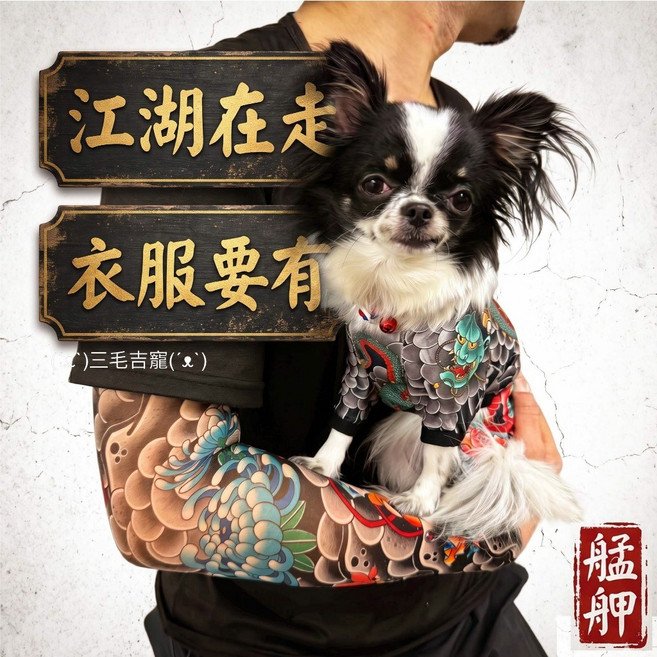 再送濕紙巾 寵物紋身衣 寵物刺青服 寵物流氓風 狗狗涼感衣 狗狗衣服 寵物衣服 狗衣服 狗紋身 狗刺青衣, 1個