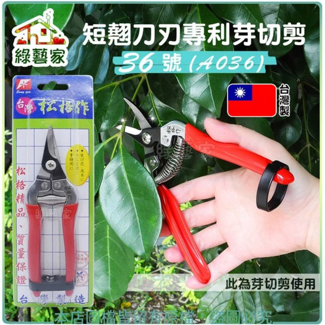 綠藝家 短翹刀刃專利芽切剪 36號 彎型SG36 SK-5高碳鋼 銳利耐用, 1個