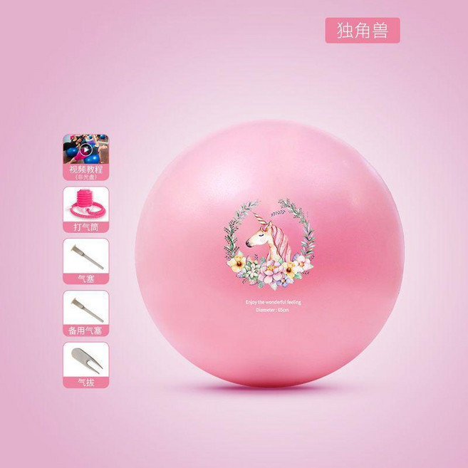 瑜伽球健身球瑜伽寶寶感統訓練器材加厚成人防爆家用大龍球 副廠商品, 升級磨砂 仙鹿迷蹤 贈六件套 ,55cm 身高150-160cm