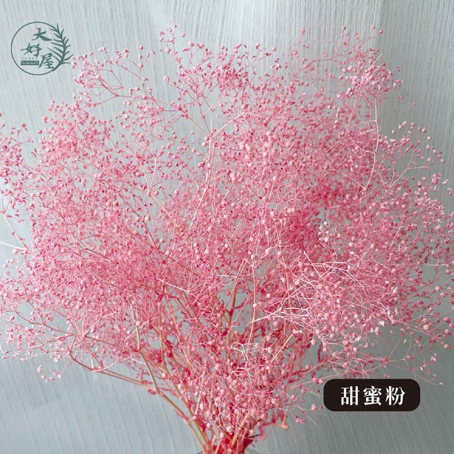 大好屋 迷你滿天星 百萬星 永生花乾燥花 花藝配花 室內裝飾, 百萬星, 甜蜜粉