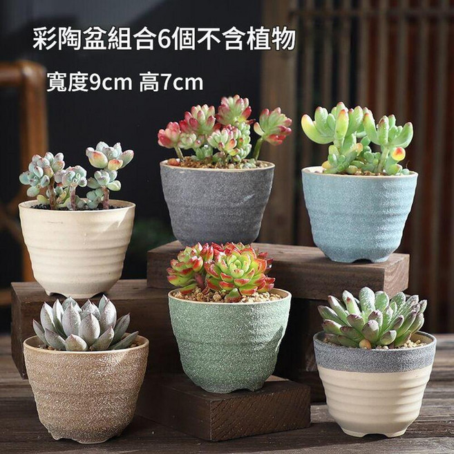 多肉植物陶瓷花盆 復古透氣粗陶盆栽, 中等彩陶盆組合6個陶瓷, 1個