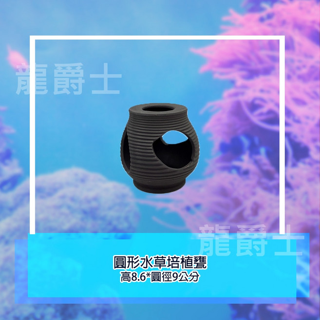 圓形水草培植甕 魚缸造景 擺飾 裝飾品, 1個