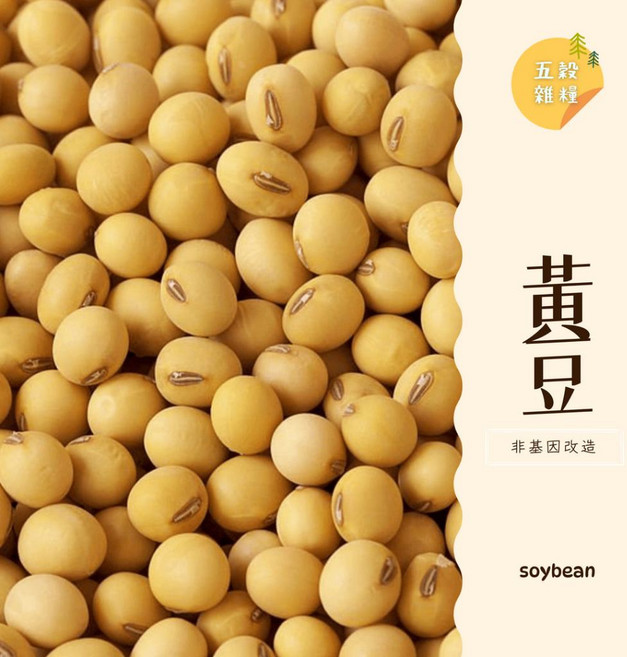加拿大黃豆 非基因改造, 1個