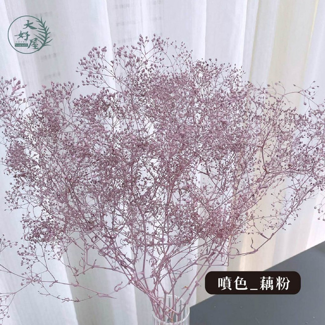 大好屋 迷你滿天星 百萬星 永生花乾燥花 花藝配花 室內裝飾, 百萬星, 藕粉