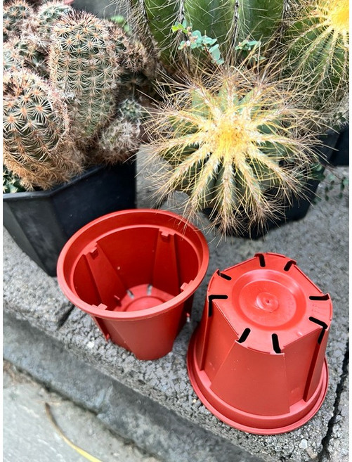 3吋透氣盆 控根盆 培養盆 荷蘭盆 摘培盆, 1個, 3吋