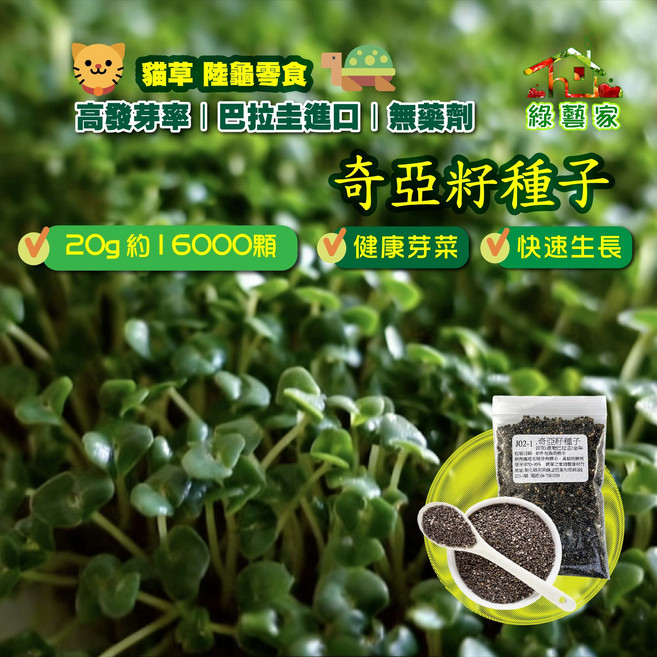 綠藝家 奇亞籽種子 20g約16000顆 健康芽菜 快速生長 巴拉圭進口, 1包