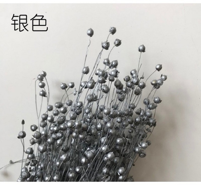 富貴豆乾燥花材 多色小星果 不凋花束 永生花 浮游花 拍照道具 居家裝飾, 銀色,大把(如首圖)