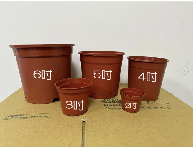 【欣榮園藝】3吋盆 圓盆 荷蘭盆 白 黑 紅 塑膠花盆 栽培盆, 1個, 黑色3吋