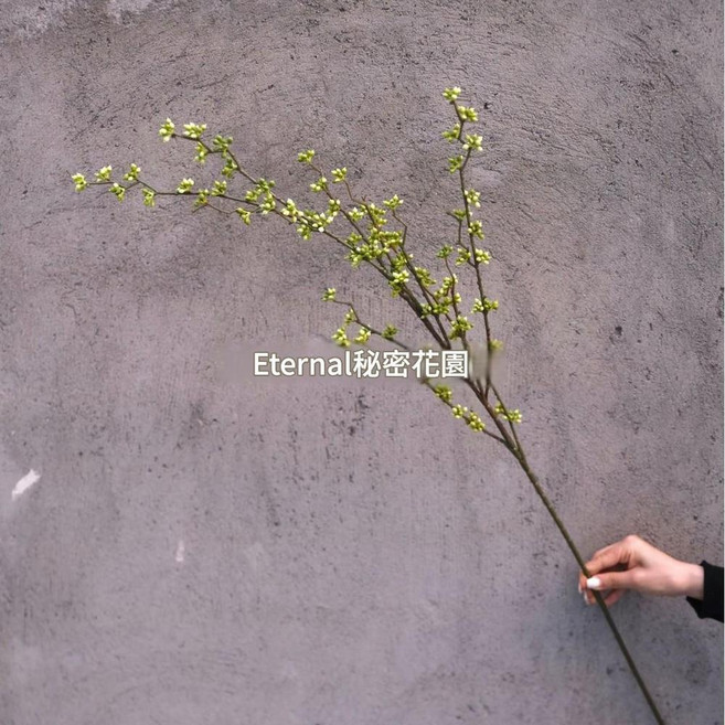 黃綠色系模擬花 仿莫奈花園櫥窗造景花材, 相思果, 1個