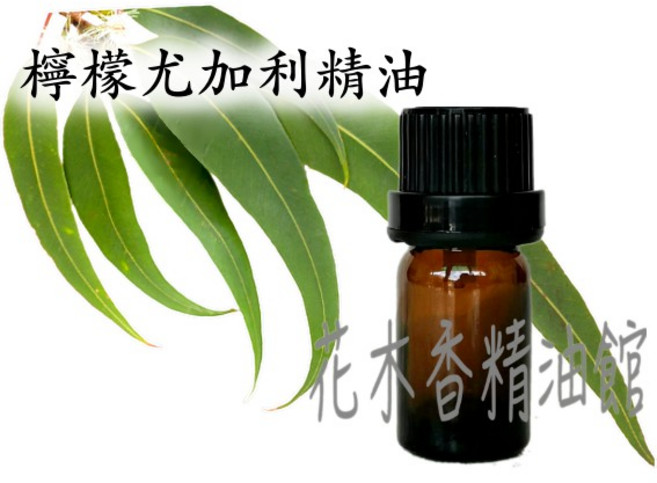 檸檬尤加利精油 - 優惠裝, 1個, 30ml