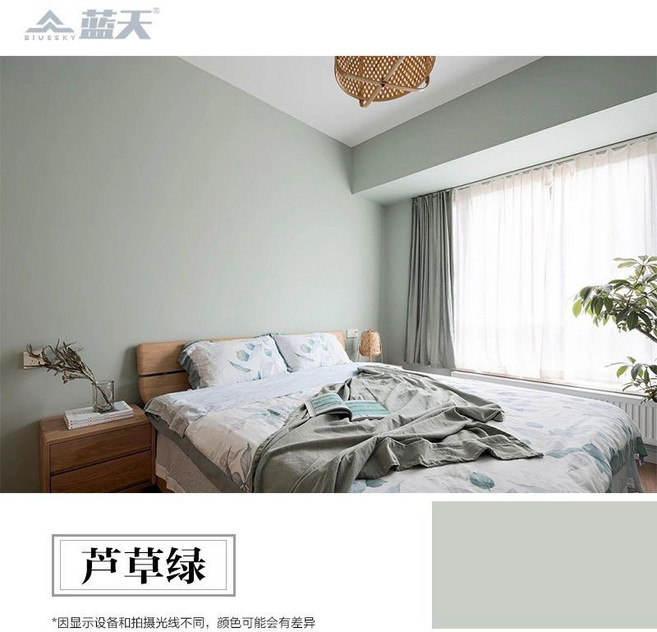 藍天 莫蘭迪色系 水性硅藻泥牆面漆 高級質感室內DIY塗料 環保無毒防霉, 3124蘆草綠,1kg, 1個, 1kg