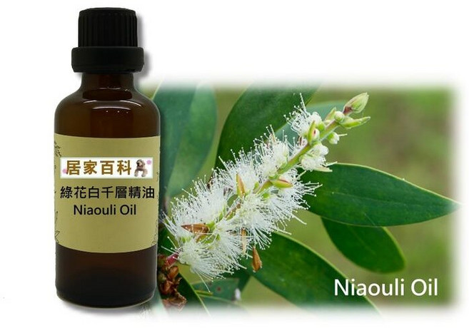 大港化工原料行 - 馬達加斯加 印尼 手工皂 DIY 香氛, 1個, 50ml, 綠花白千層精油
