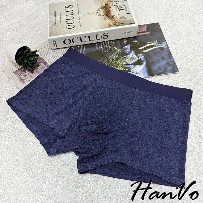 HanVo 升級款 經典簡約素色莫代爾內褲 細緻吸濕排汗獨立包裝 透氣中腰男款內褲 B05-5060