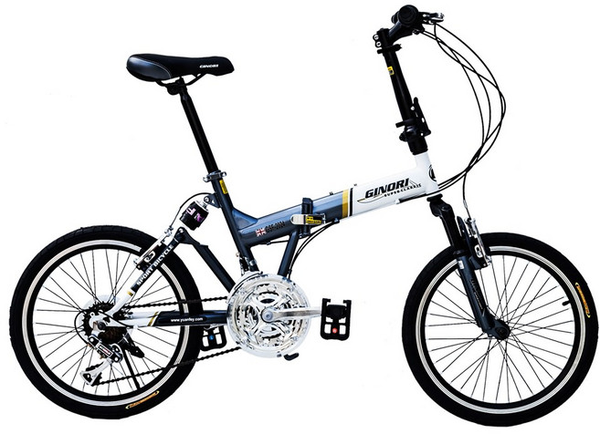 BIKEDNA G3 LITE SP 20吋24速前後避震款折疊自行車 融合登山車的輕越野OFROAD與折疊機動便利性全, 鈦色, 1個