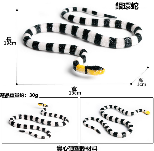 GUEFOON 仿真動物模型 爬蟲造型 便利取用, 1個, M-1361銀環蛇(黑色白色):如圖所示(2206)