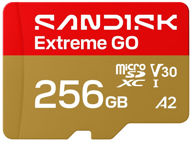 SANDISK Extreme GO 記憶卡, 1個, 256GB