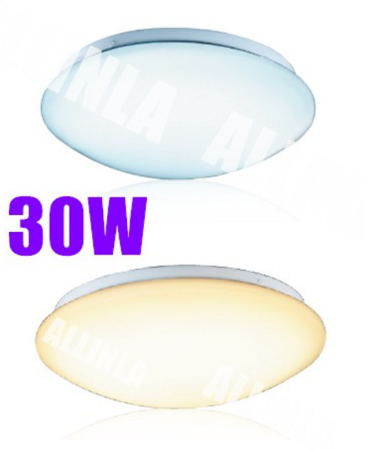 舞光 雅致系列 LED吸頂燈 30W, 黃光3000K,16W, 黃光