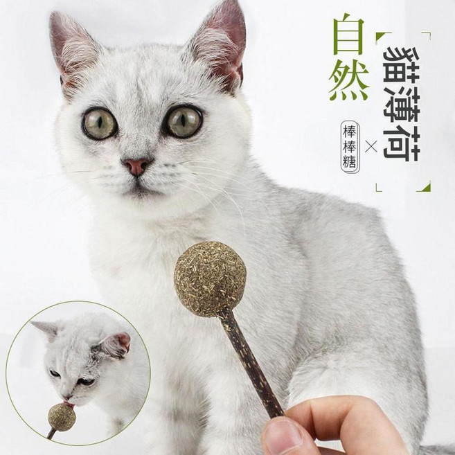 貓咪磨牙棒 木天蓼 逗貓玩具, 棒棒糖, 1個