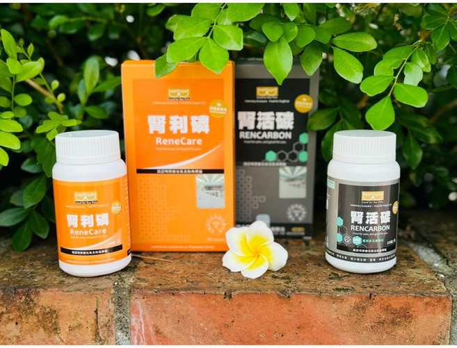 賽恩威特 Scienvet 寵物腎臟保養品 腎利磷 維持腎臟機能 促進新陳代謝 守護寵物健康, 腎活碳30錠(2026/10)