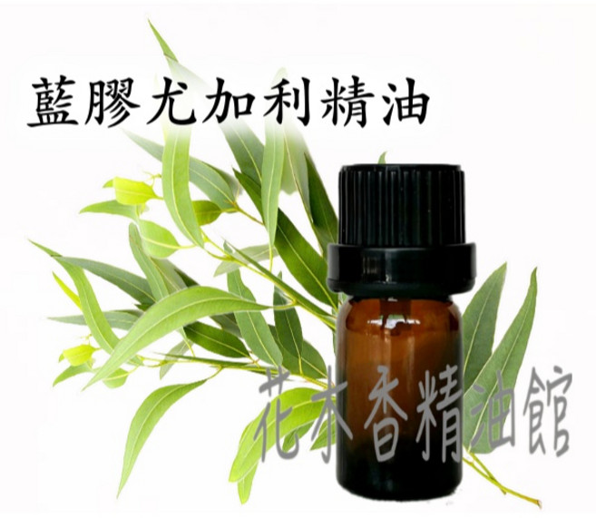 藍膠尤加利精油, 1個, 10ml