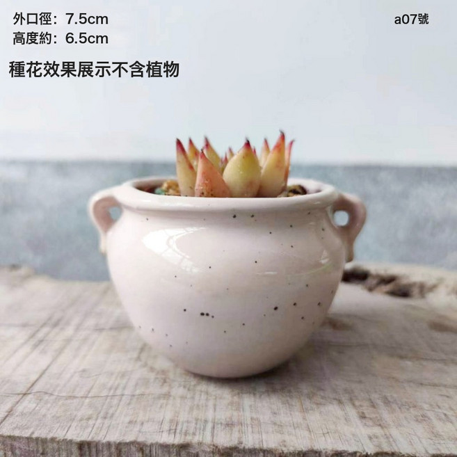 DIU 多肉花盆陶瓷園藝陶瓷迷你小新品創意粗陶復古家居新品瓷罐子盆器, 1件, A211號