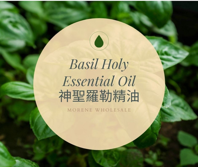 MORNEN AROMATHERAPY 神聖羅勒精油, 30g, 1個, 30ml